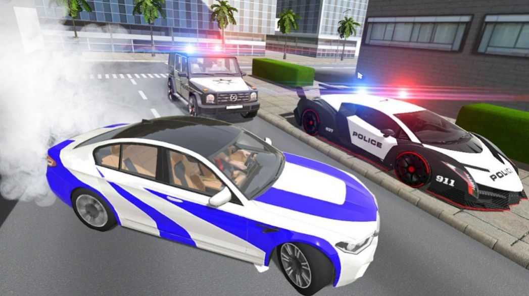 Police VS Crime游戏官方版图3: