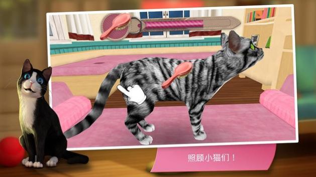 猫咪旅店游戏安卓版图片1