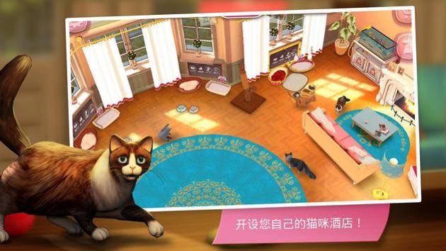 猫咪旅店游戏安卓版图2: