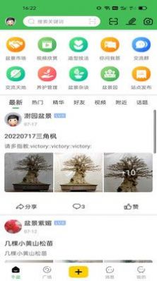 千盆盆景APP手机版图3: