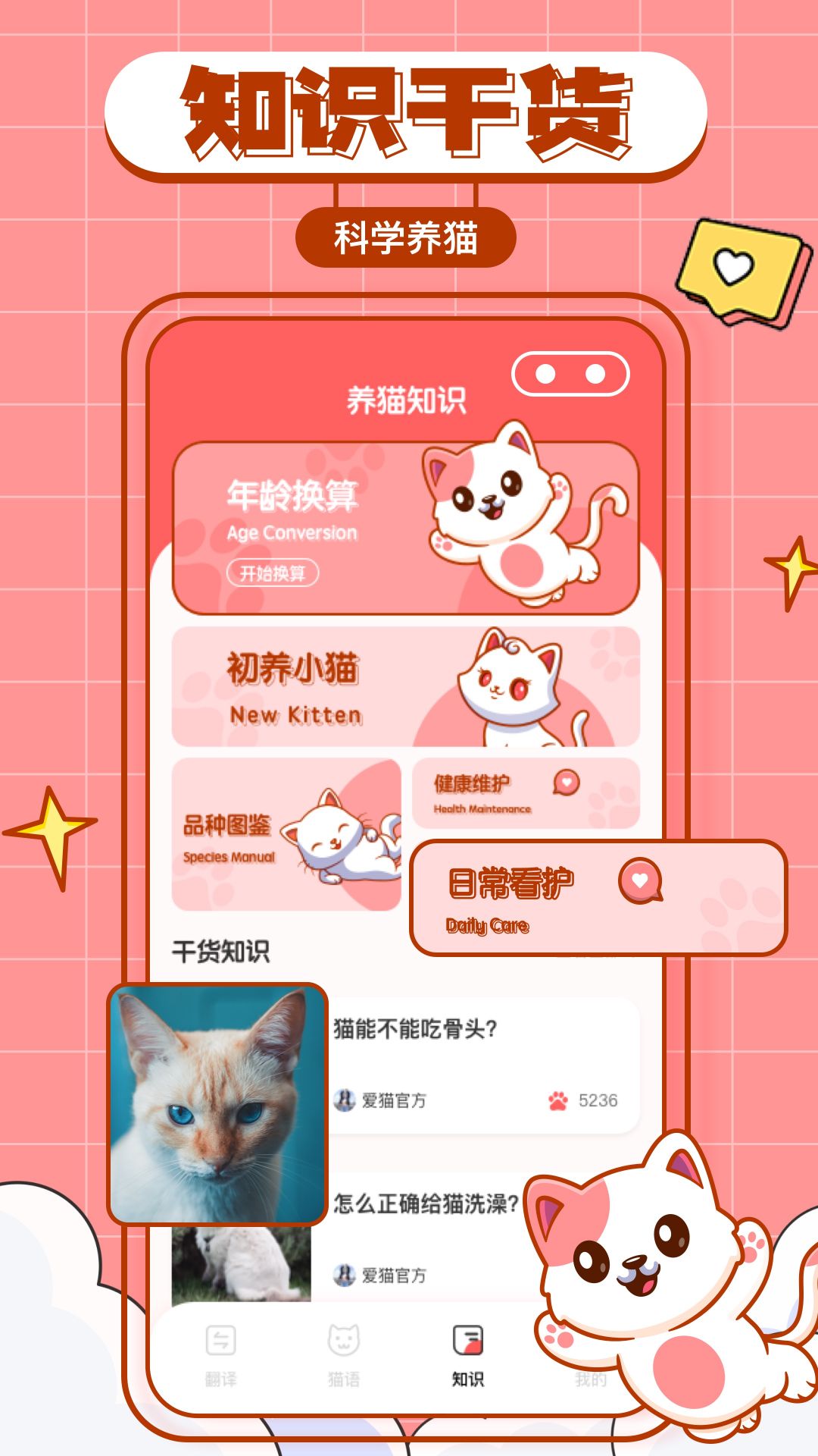 猫咪翻译物语下载APP手机版图2: