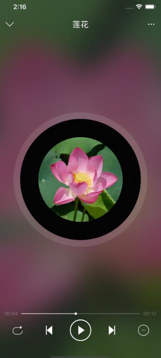 LoveMusic本地音乐播放器app最新版图片1