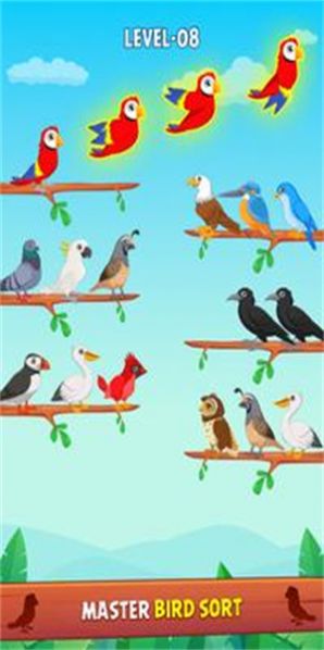 鸟类颜色分类拼图游戏安卓版图片1