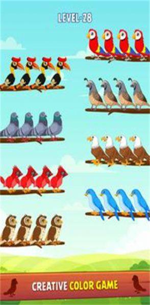 鸟类颜色分类拼图游戏图2