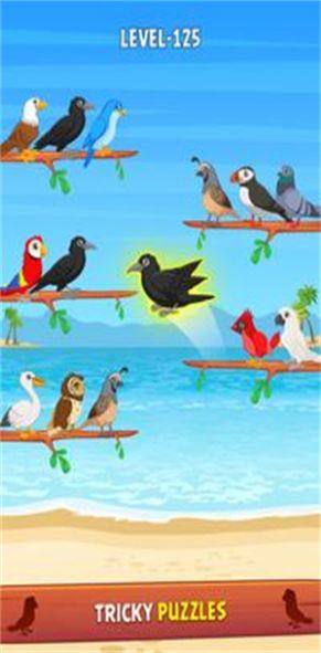 鸟类颜色分类拼图游戏图3