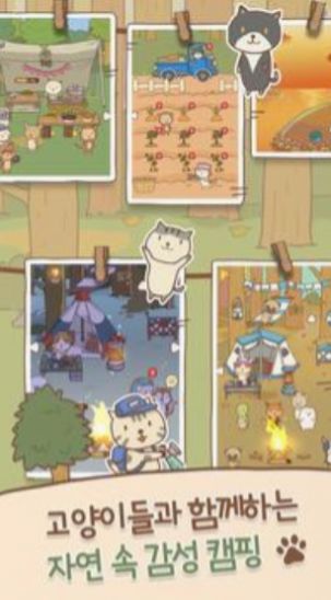 猫猫露营游戏中文版图1: