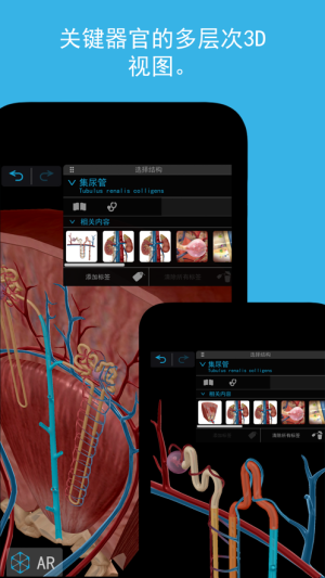 2023人体解剖学图谱app图2
