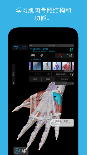 2023人体解剖学图谱app图3