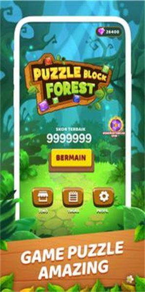 拼图块森林游戏安卓版下载（Puzzle Block Forest）图片1