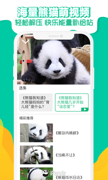 熊猫频道24小时直播app下载安装图3: