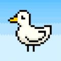 Duck Frenzy游戏中文版 v1.1