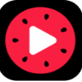 西瓜视频下载免费版安装手机版 v8.2.0