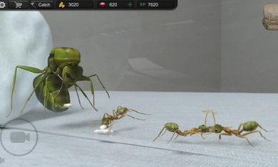 蚂蚁模拟大亨中文2022最新版（Ant Sim Tycoon）截图1:
