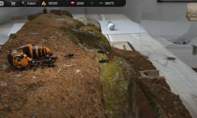 蚂蚁模拟大亨中文2022最新版（Ant Sim Tycoon）图3: