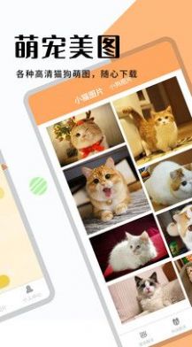 猫狗宠物翻译软件下载最新版图片1