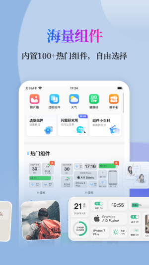 Top Widgets设置中文图3