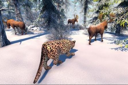 北极豹家族雪林模拟游戏最新手机版图1: