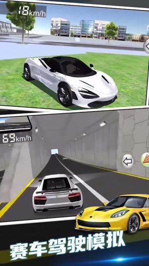 3D赛车驾驶课手机版图1