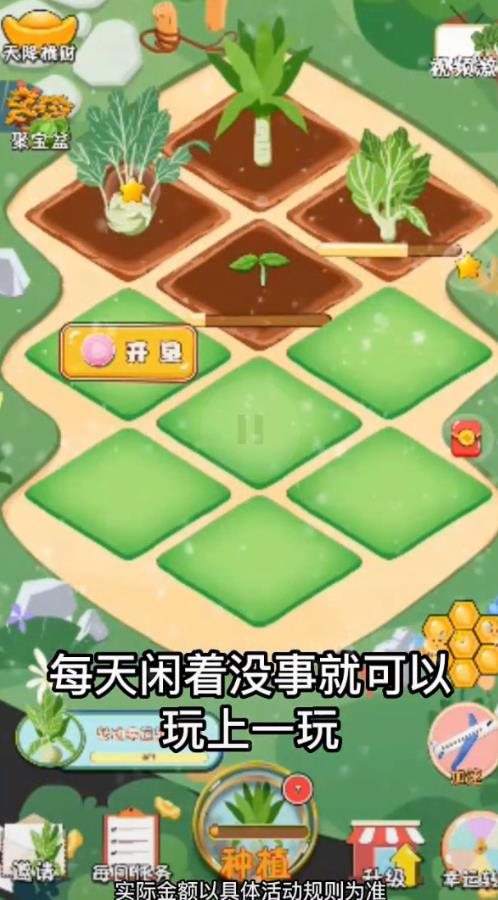 大头菜农场喜得红包游戏app官方版截图2: