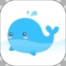 鲸live app
