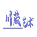 川藏艺术app