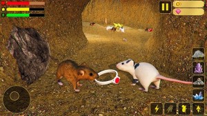 野生老鼠家庭模拟3D游戏官方版图片1