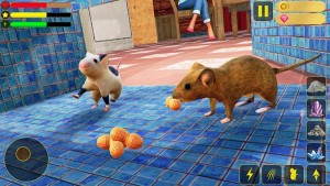 野生老鼠家庭模拟3D游戏图2