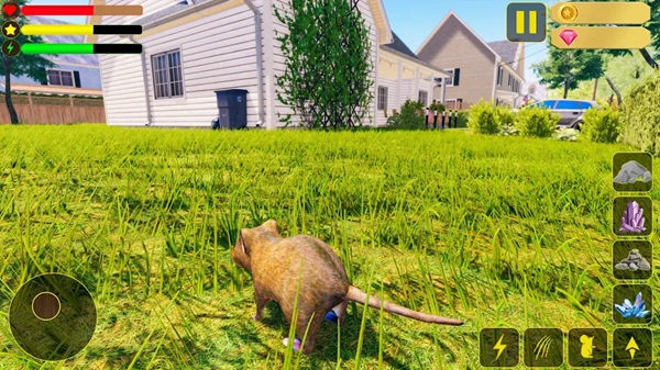 野生老鼠家庭模拟3D游戏官方版图3: