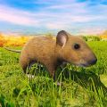 野生老鼠家庭模拟3D游戏官方版 v1.2