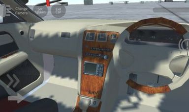 辛迪汽车驾驶模拟器下载安装手机版最新版图2:
