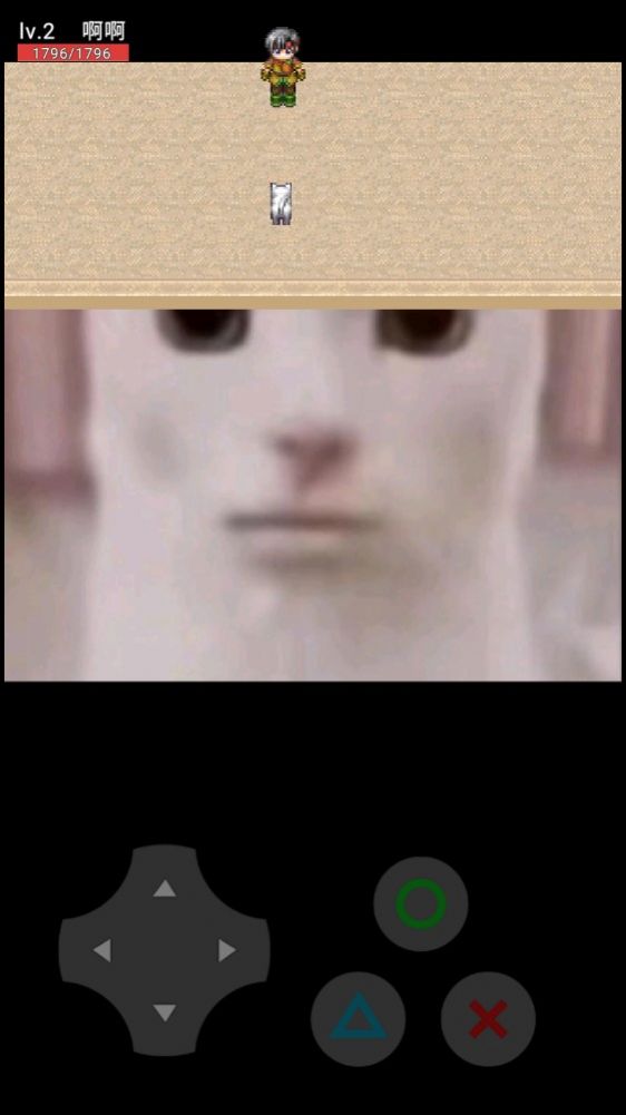 猫咪惊魂下载安装手机版图1: