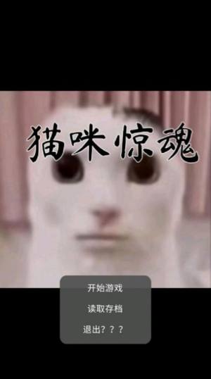 猫猫惊魂免费下载中文版图3