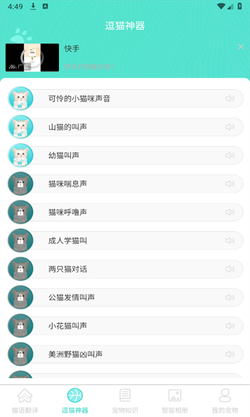 宠猫翻译app最新版4