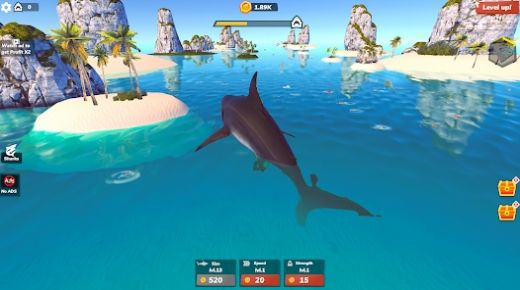 鲨鱼世界大亨2游戏官方版4