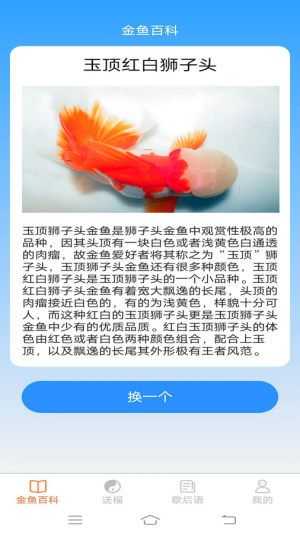 金鱼招福app官方版图片1