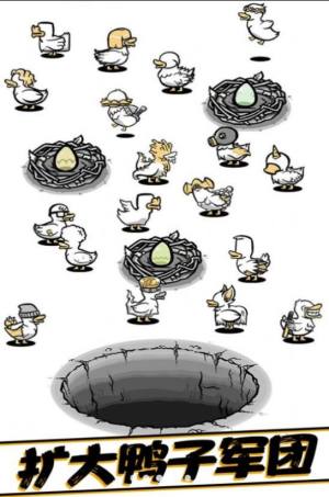 奇怪鸭子孵蛋游戏安卓版图片1