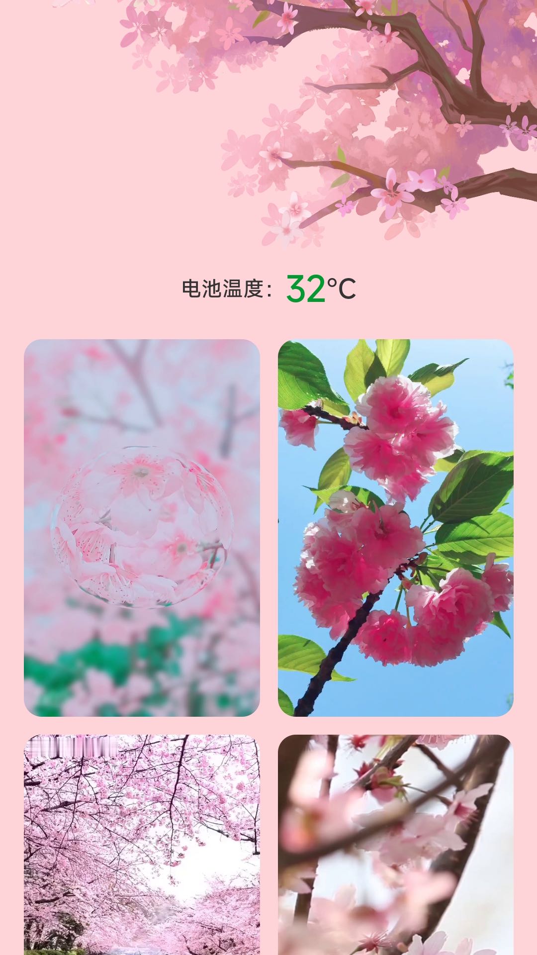 樱花充电app官方版图2: