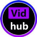 Vidhub视频软件最新版