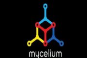 Mycelium钱包教程 Mycelium钱包怎么用[多图]