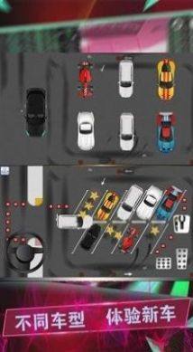驾考模拟停车达人游戏图2