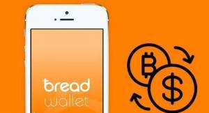 Bread Wallet钱包怎么注册 钱包账户注册方法图片1