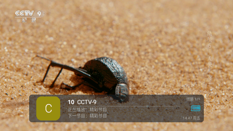 芸汐TV修改版软件最新版图片1
