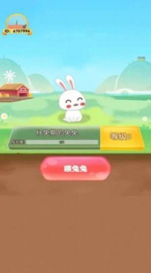 饲养小白兔游戏图3