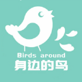 身边的鸟软件最新版 v1.4