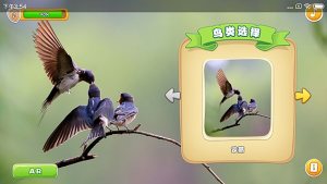 身边的鸟软件最新版图片1