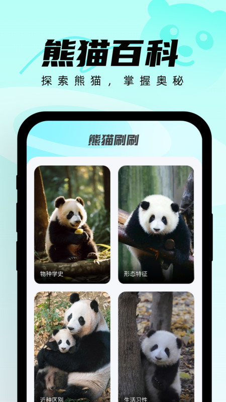 熊猫刷刷软件最新版图2: