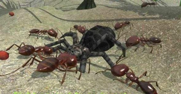 3d蚂蚁模拟器下载大全最新版图1: