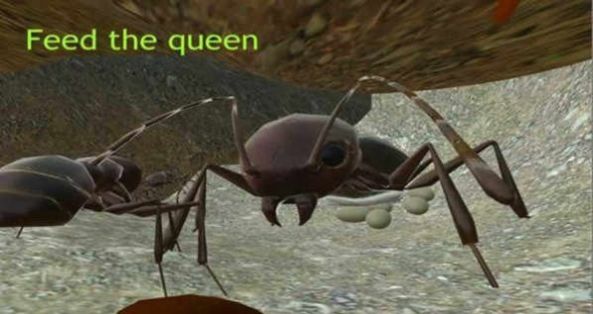 3d蚂蚁模拟器下载大全最新版图2: