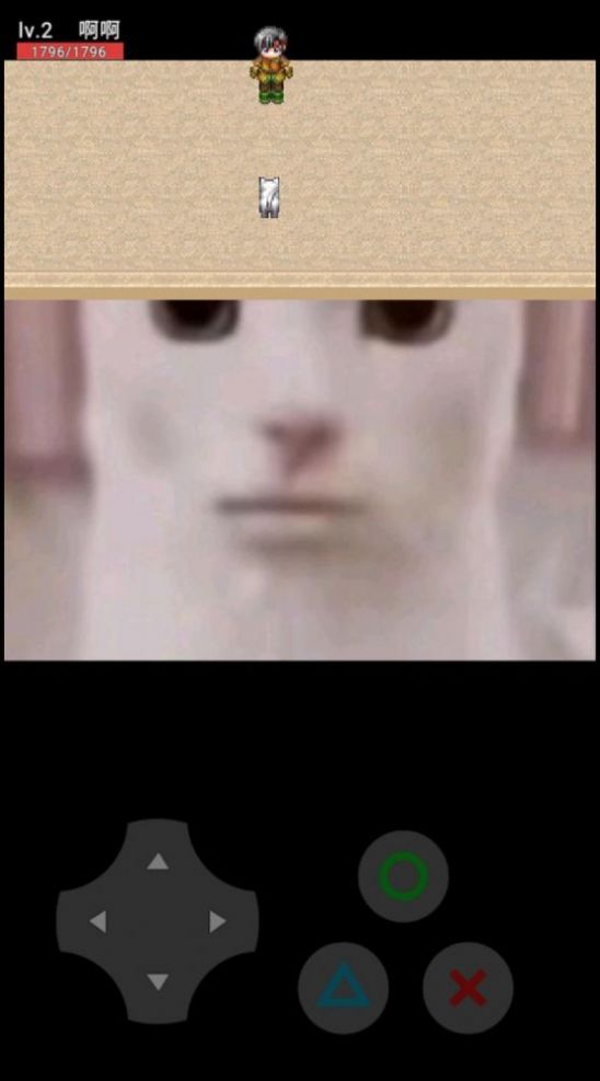 猫猫惊魂1.4版本下载安装图片1