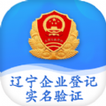 辽宁企业登记实名验证安卓版app最新版 v1.6
